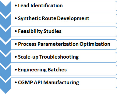 Integrated API Process Development Services Chart