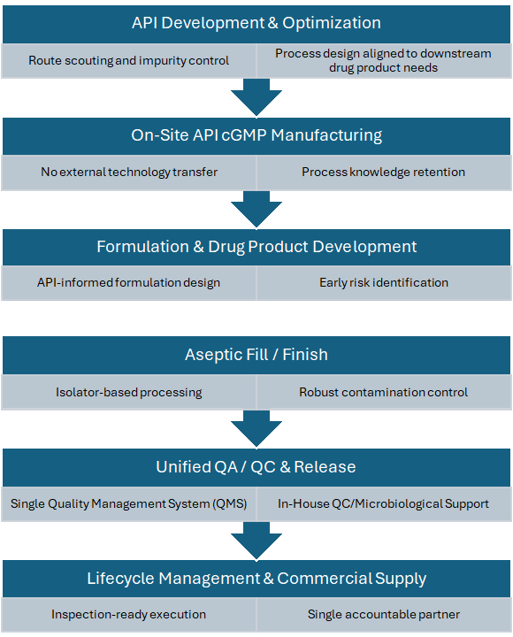 Integrated Single-Site Model Flowchart