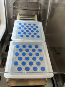 Precision Aseptic Powder Filling